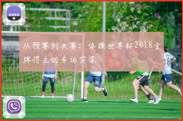 从预赛到决赛:体操世界杯2018金牌得主的专访实录