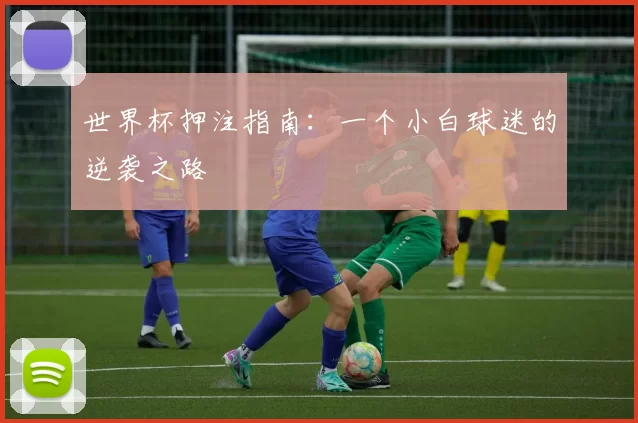 世界杯押注指南：一个小白球迷的逆袭之路
