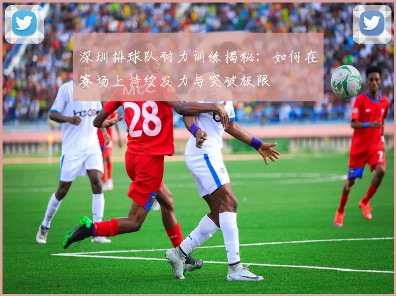 深圳排球队耐力训练揭秘:如何在赛场上持续发力与突破极限