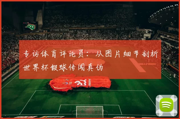 专访体育评论员：从图片细节剖析世界杯假球传闻真伪