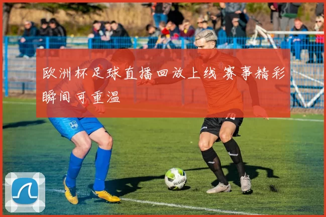 欧洲杯足球直播回放上线 赛事精彩瞬间可重温