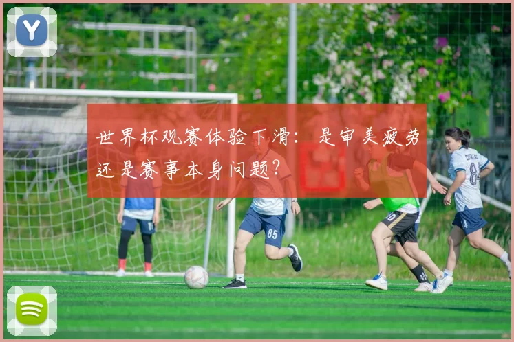 世界杯观赛体验下滑：是审美疲劳还是赛事本身问题？