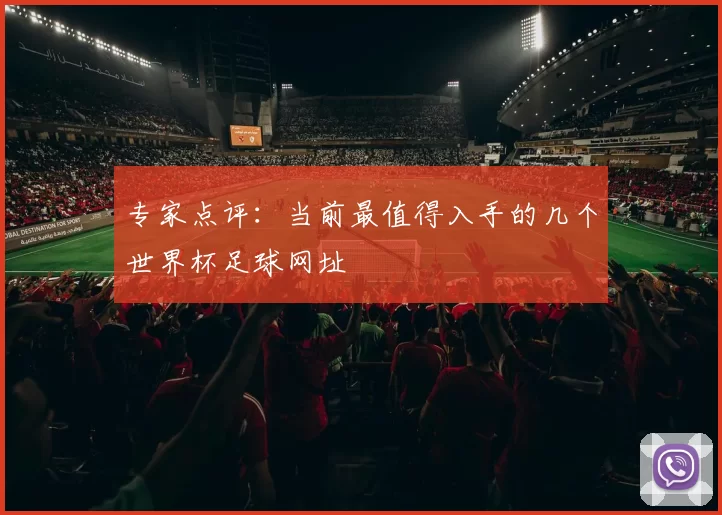 专家点评：当前最值得入手的几个世界杯足球网址