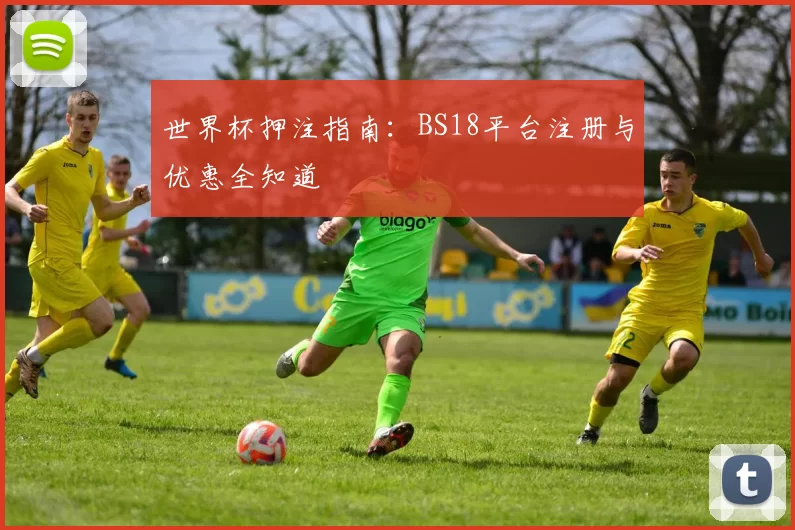 世界杯押注指南：BS18平台注册与优惠全知道