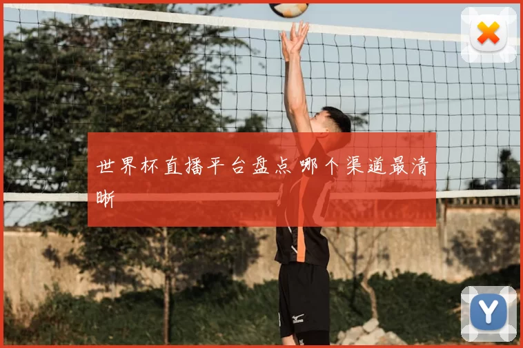 世界杯直播平台盘点 哪个渠道最清晰
