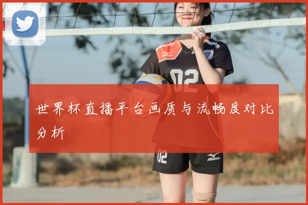 世界杯直播平台画质与流畅度对比分析