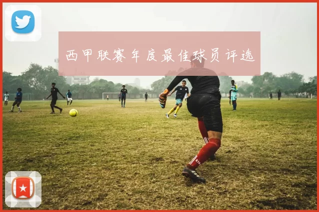 西甲联赛年度最佳球员评选