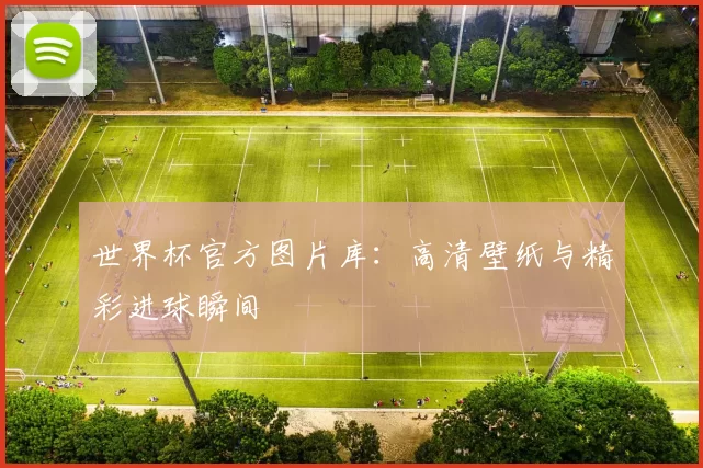 世界杯官方图片库：高清壁纸与精彩进球瞬间
