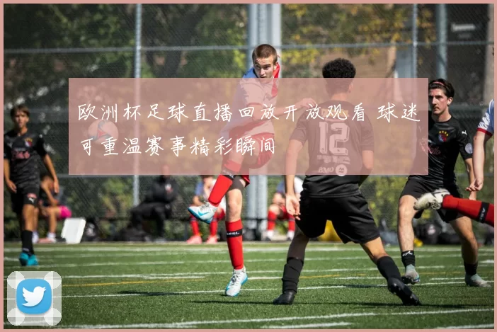 欧洲杯足球直播回放开放观看 球迷可重温赛事精彩瞬间