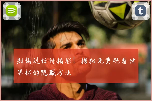 别错过任何精彩！揭秘免费观看世界杯的隐藏方法