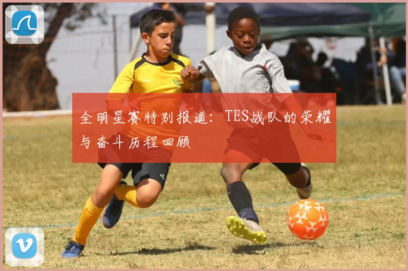 全明星赛特别报道：TES战队的荣耀与奋斗历程回顾