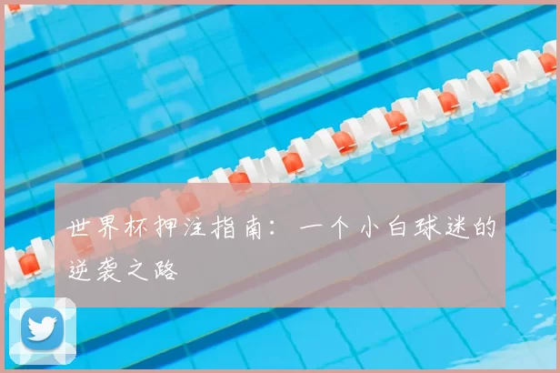 世界杯押注指南:一个小白球迷的逆袭之路