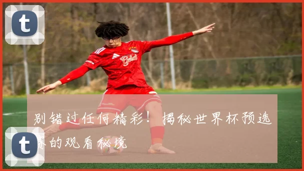 别错过任何精彩！揭秘世界杯预选赛的观看秘境