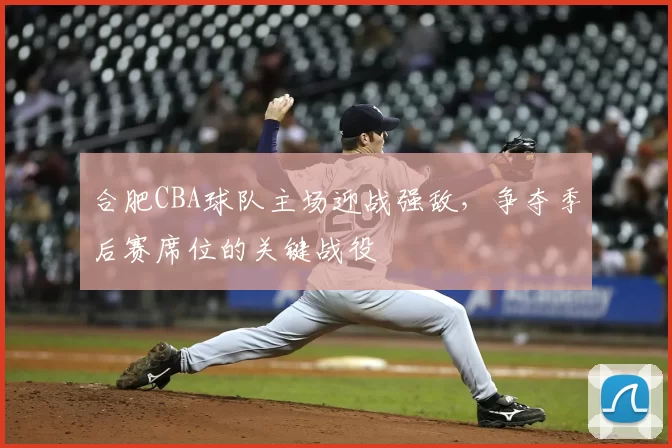 合肥CBA球队主场迎战强敌，争夺季后赛席位的关键战役