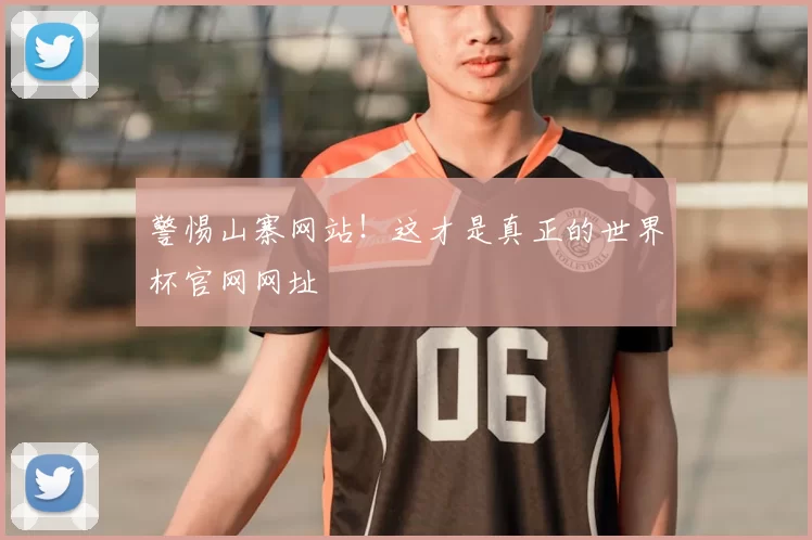 警惕山寨网站！这才是真正的世界杯官网网址