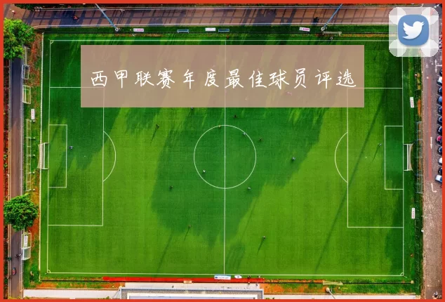 西甲联赛年度最佳球员评选